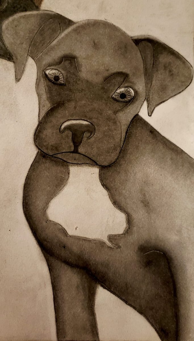 A close-up of a sad-looking puppy with a slightly tilted head.